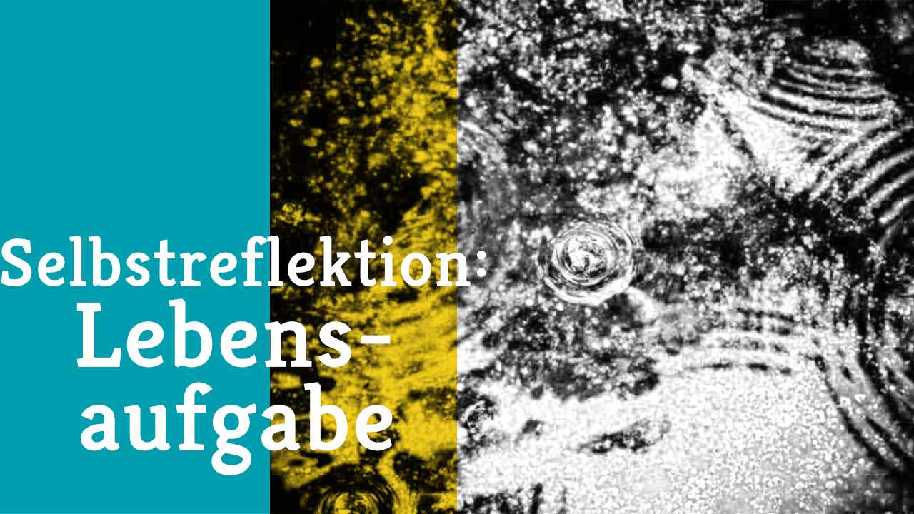 Selbstreflexion als Lebensaufgabe Selbstreflexion als Lebensaufgabe
